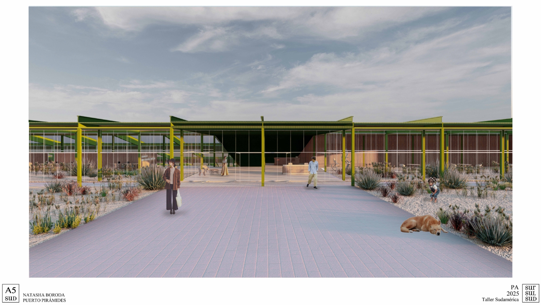 Puerto Pirámide | Centro de Investigacion-15