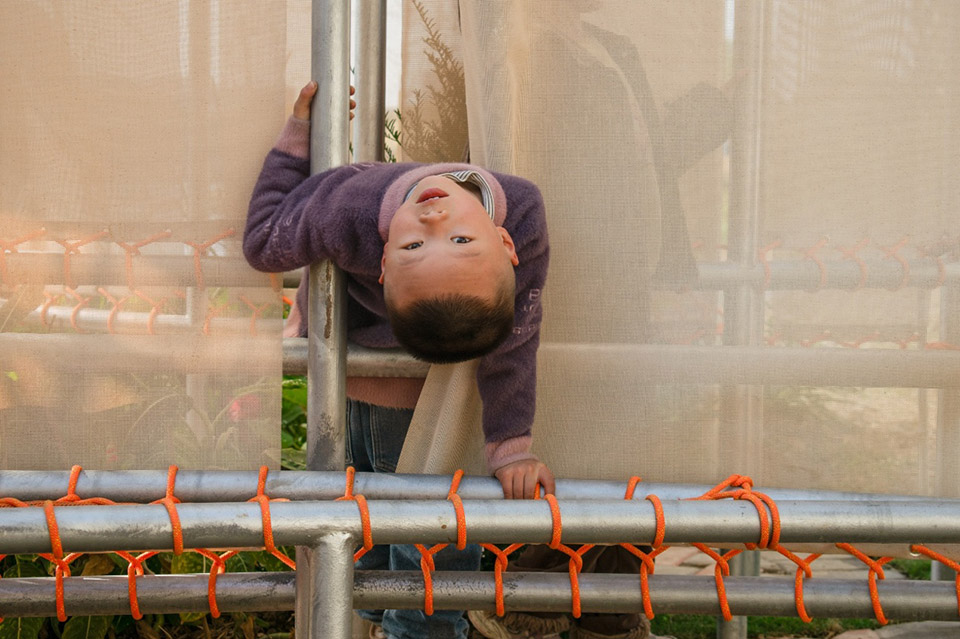 叹绿成真——2024亚热带可持续设计竞赛获奖作品落成发布-102