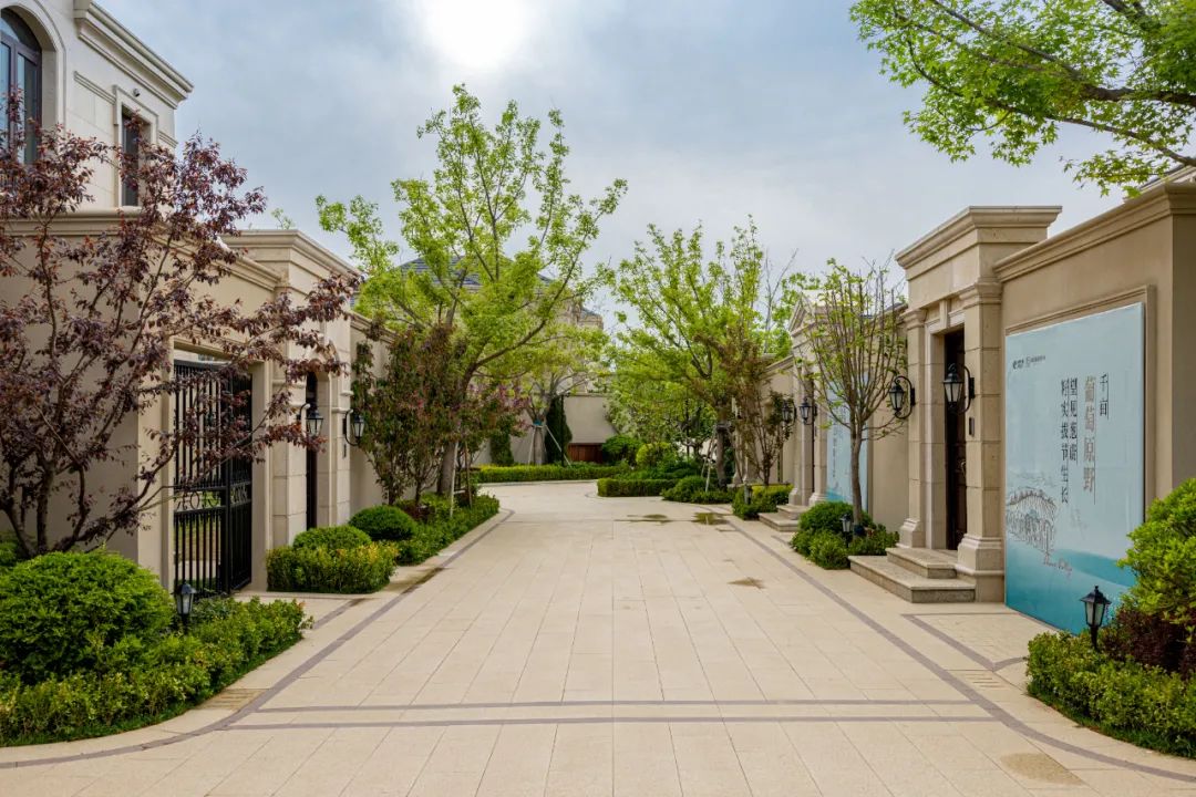 绿城玫瑰园葡萄酒小镇丨中国大连丨浙江蓝颂园林景观设计集团有限公司-56