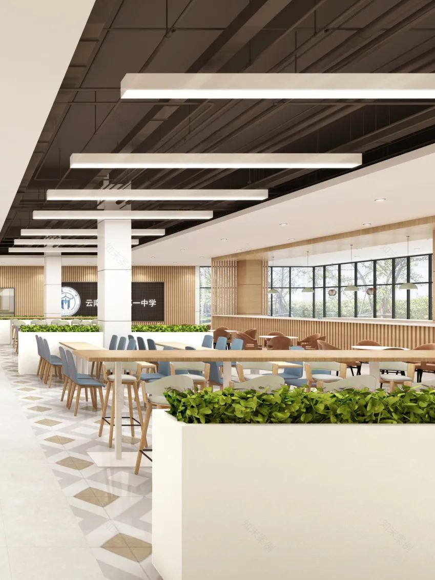 玉溪一中食堂升级,校园食堂 3.0 引领新时代-70