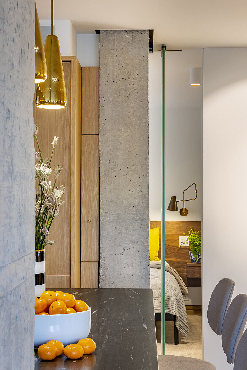 西村公寓丨美国纽约市丨Andrew Franz Architect-7