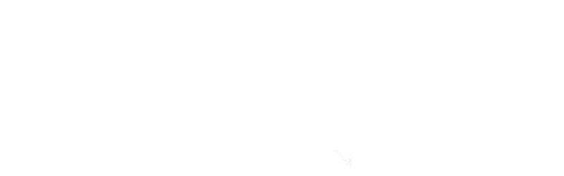 Transitional Contemporary Interior Design in Hillsborough | Heather Hilliard : Heather Hilliard-0