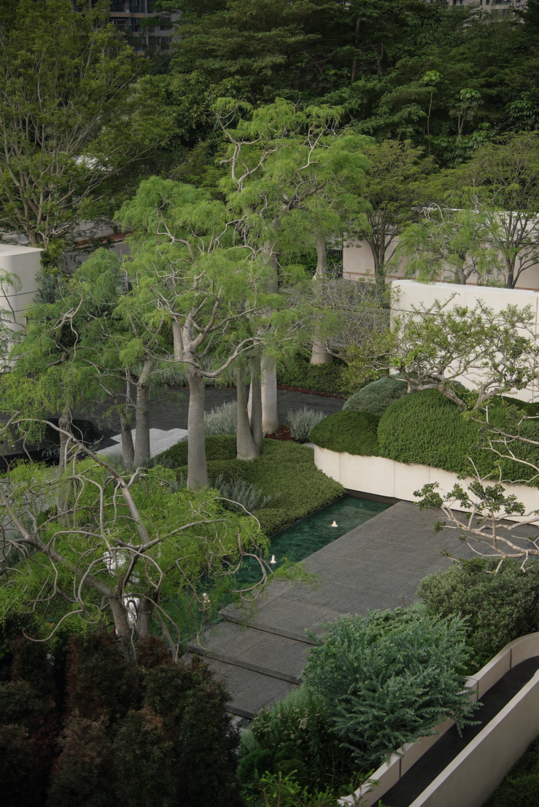 深圳后海招商玺丨中国深圳丨承迹景观Change Studio等多家公司-40