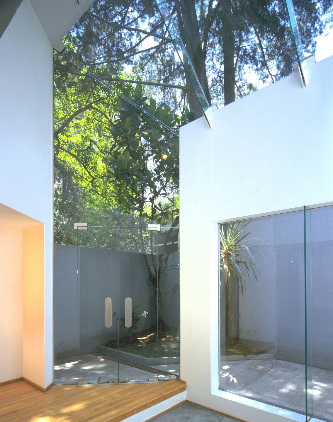 墨西哥城 minimalist·tech 玻璃屋-30