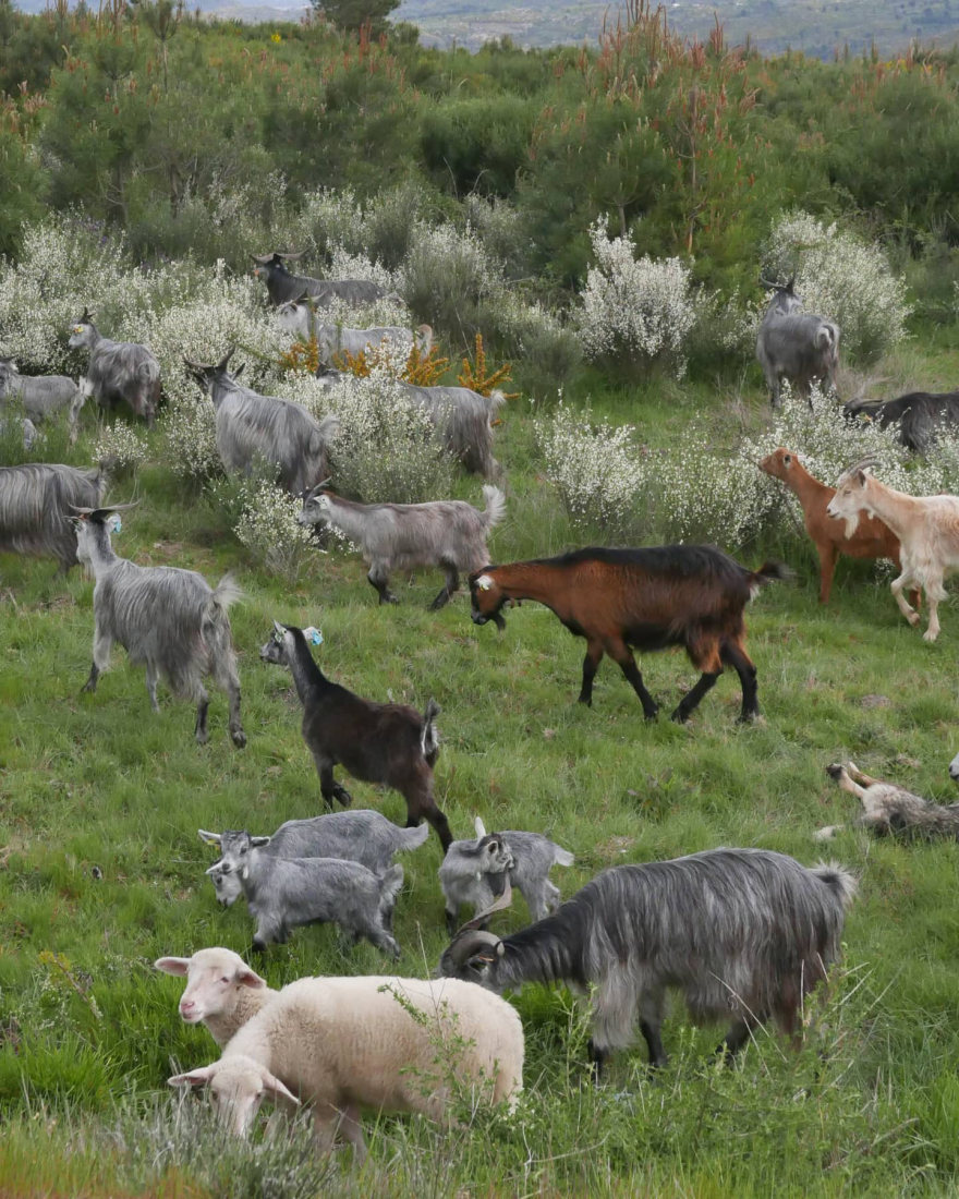 穿越内心王国之旅-28