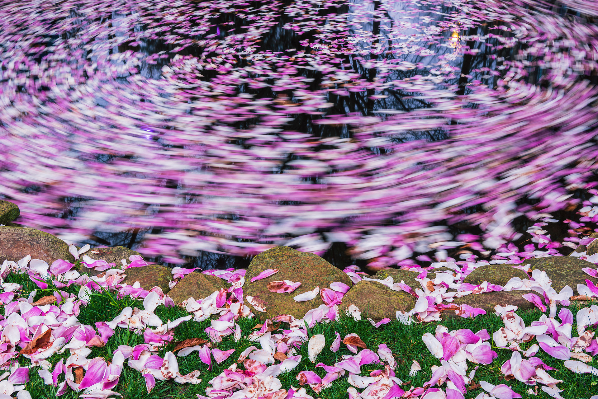 Knoxville, TN (USA).-89