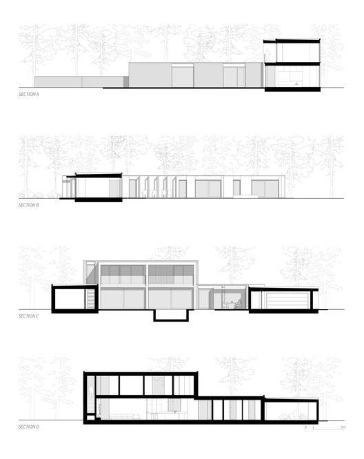 维拉·坦尼斯韦根-19