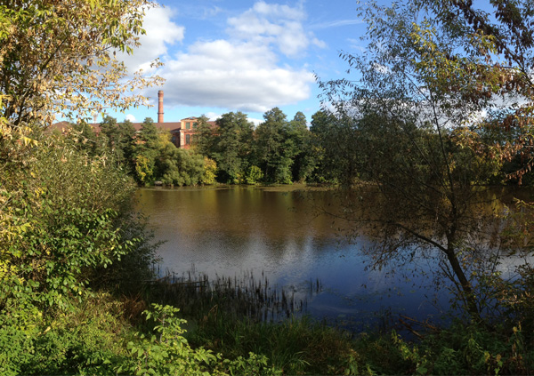 俄罗斯莫斯科州德雷兹纳旅游发展项目丨Megabudka建筑事务所-84