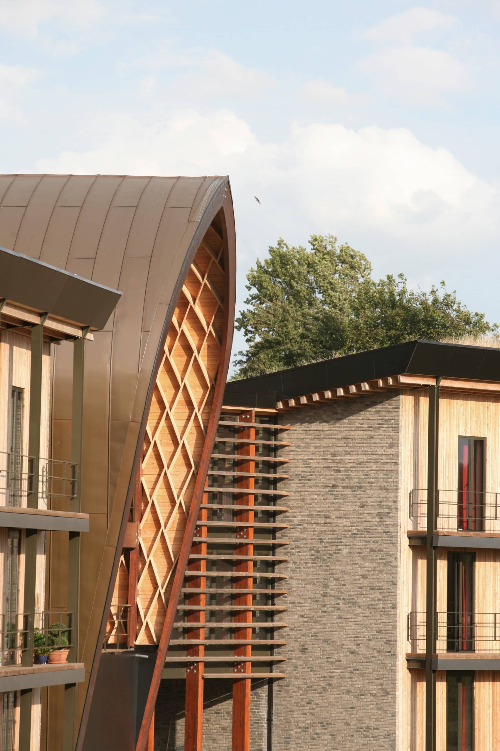 Huyse Fliedermael养老住宅新建项目丨比利时-1