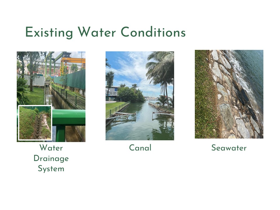 West Coast Park Redesign for Mitigating UHI-3