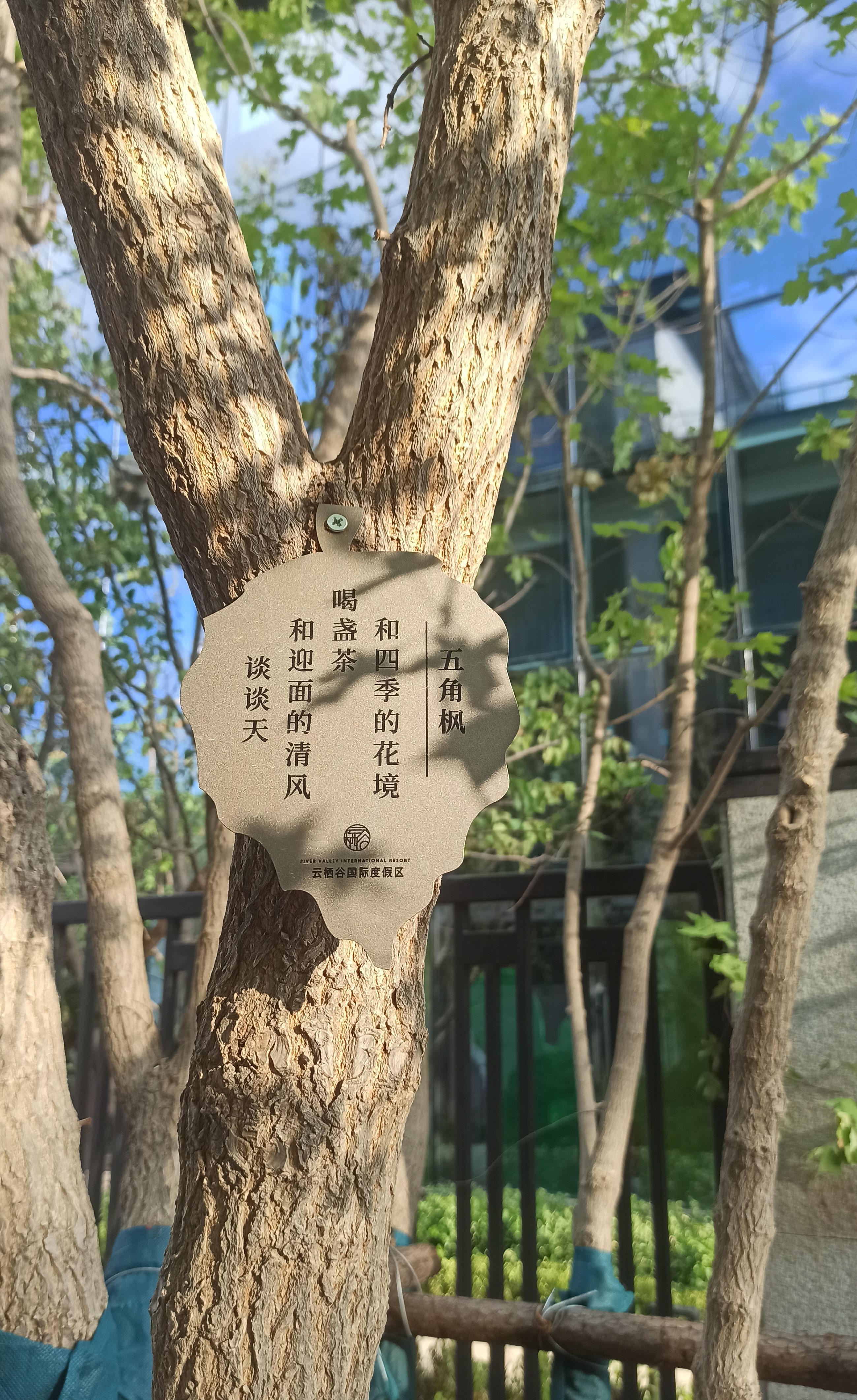 河北承德云栖谷度假区导视系统设计丨中国河北丨成都宽承空间景观装饰设计有限公司-81