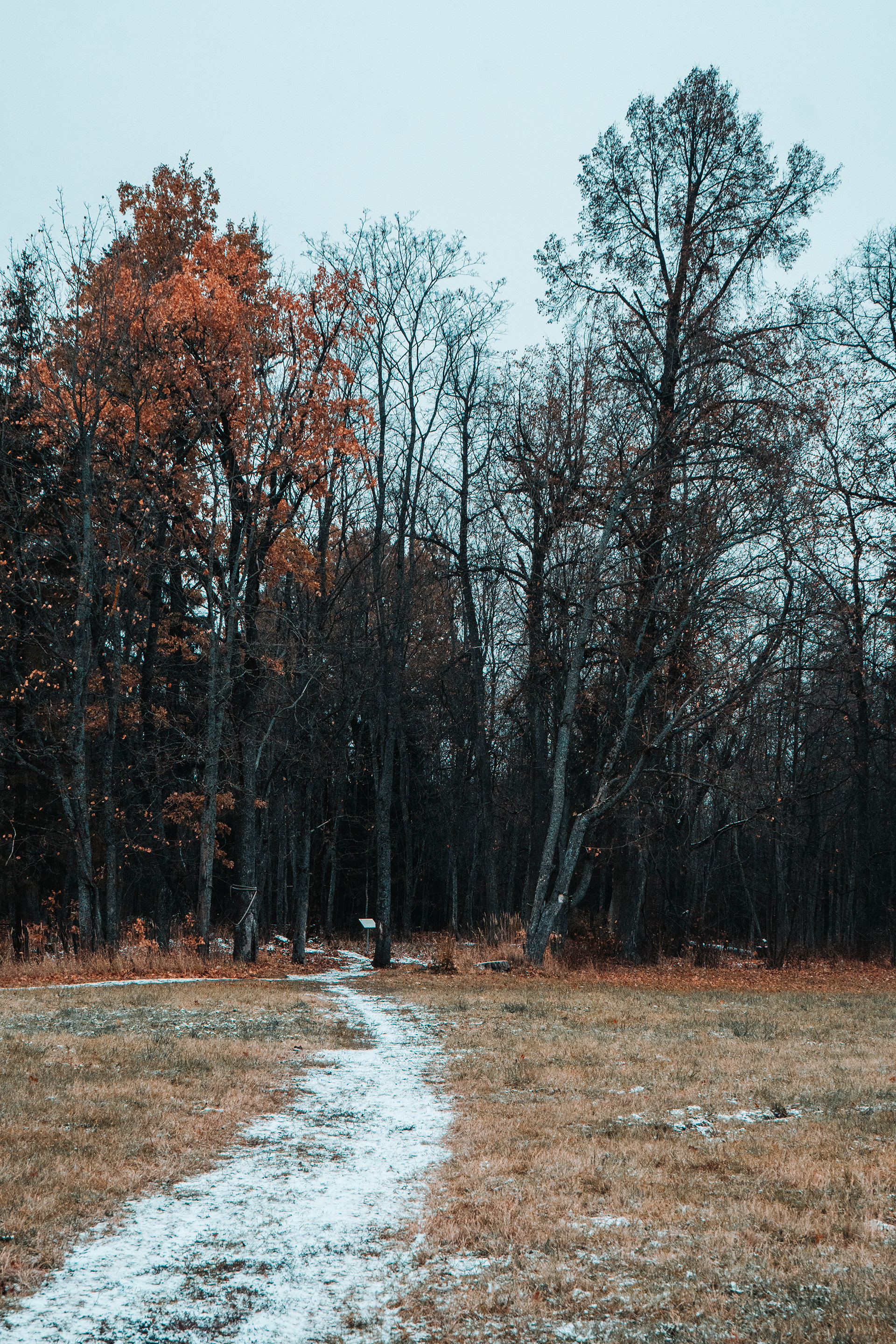 Demidov 庄园周边景观设计-11