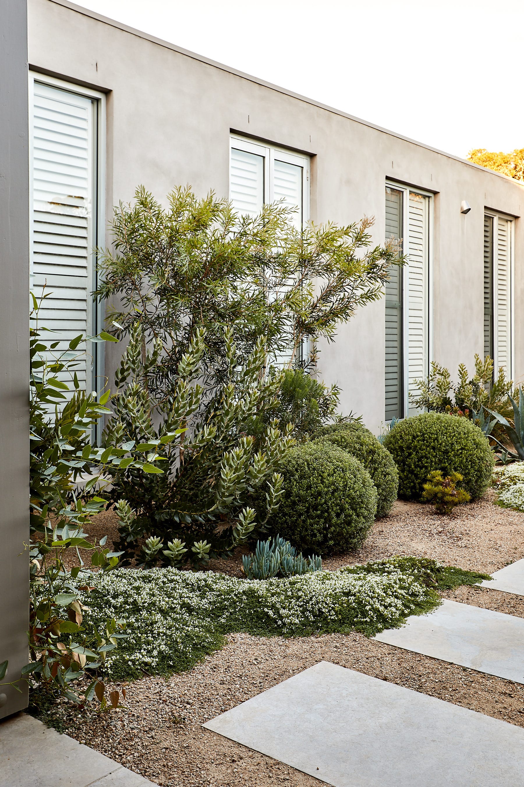 莫宁顿梦境花园-20