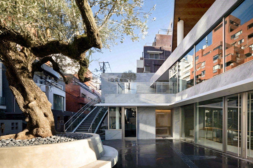 能剧场住宅丨日本东京丨中村拓志-31