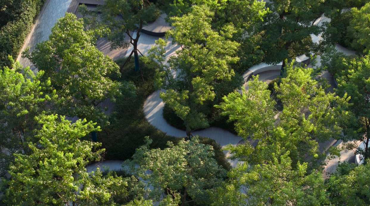 岳阳金茂云府大区住宅景观丨中国岳阳-6