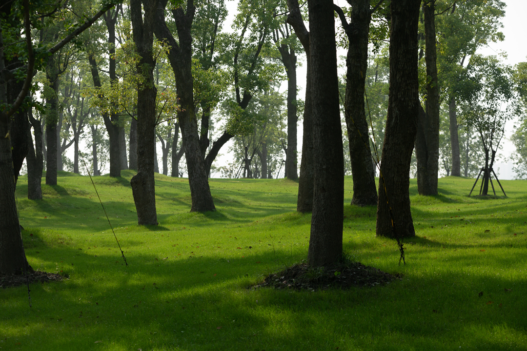 上海养云安缦社区-14