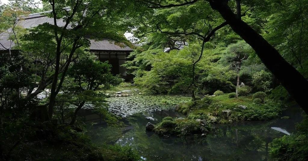 梦窗疏石·禅庭闲寂丨日本-44