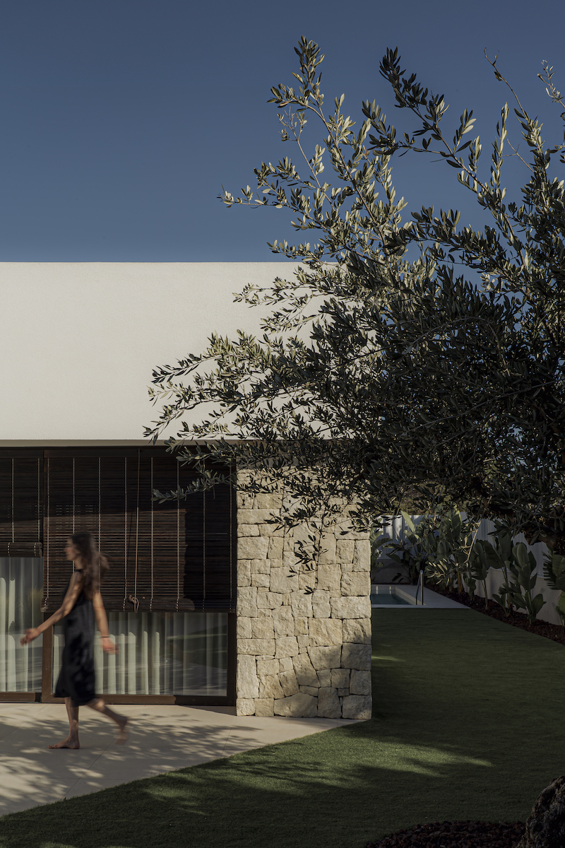 阿尔贾娜丨西班牙丨Chiralt Arquitectos Valencia-11