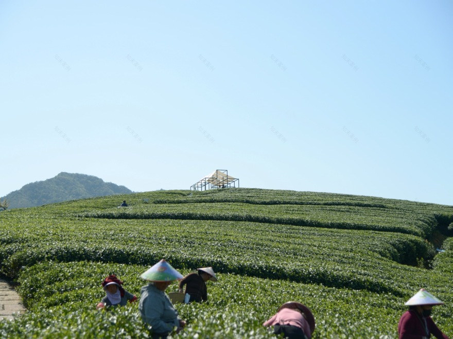 长埭村艺术乡建系列茶山浮亭丨中国杭州丨由牧建筑-5