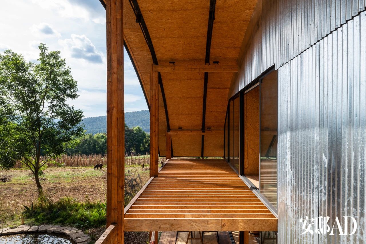 La Lomita 乡村庇护所丨墨西哥丨Emiliano García 和 Helene Carlo-43