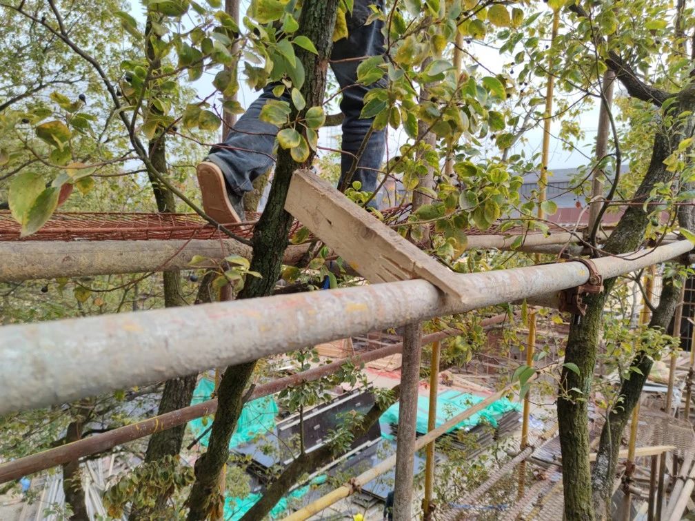 景德镇川上行（景仰书院）丨中国景德镇丨直向建筑-124