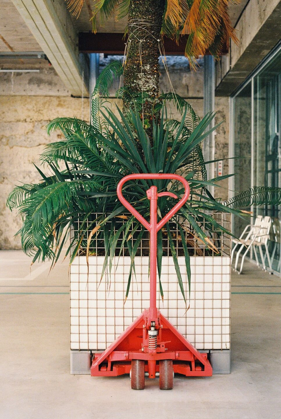 韩国 Jeju 岛折叠自行车店丨Schemata Architects,Jo Nagasaka-23