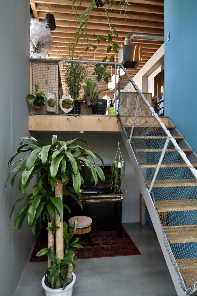 丨日本宫崎丨有限会社COGITE-10