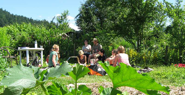 弗赖堡城市菜园生态改造项目丨德国弗赖堡-10