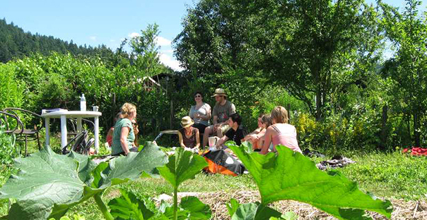 弗赖堡城市菜园生态改造项目丨德国弗赖堡-10