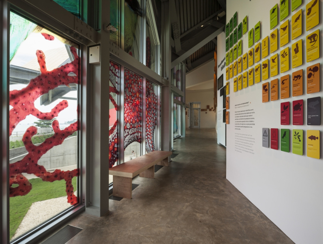 Biomuseo  生物多样性博物馆丨弗兰克·盖里（Frank Gehry）-63