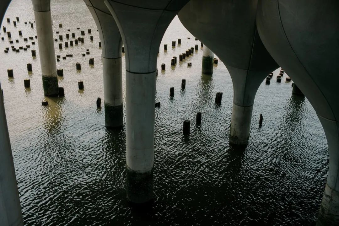 纽约悬浮空中公园丨巴林哈德丨Heatherwick 工作室,Arup,MNLA-26