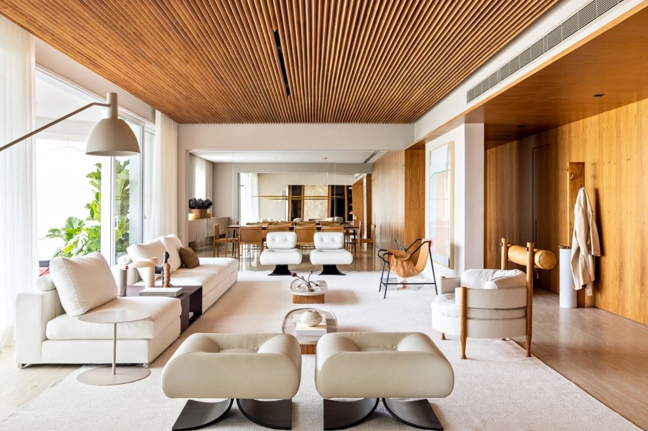 CASA PARIS 巴黎住宅丨巴西丨NJ Arquitetos-49