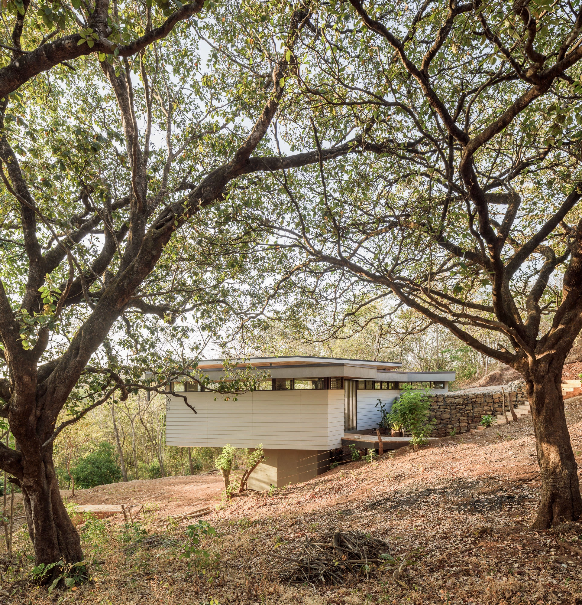 悬浮叶屋 · 绿色走廊中的生态住宅-11