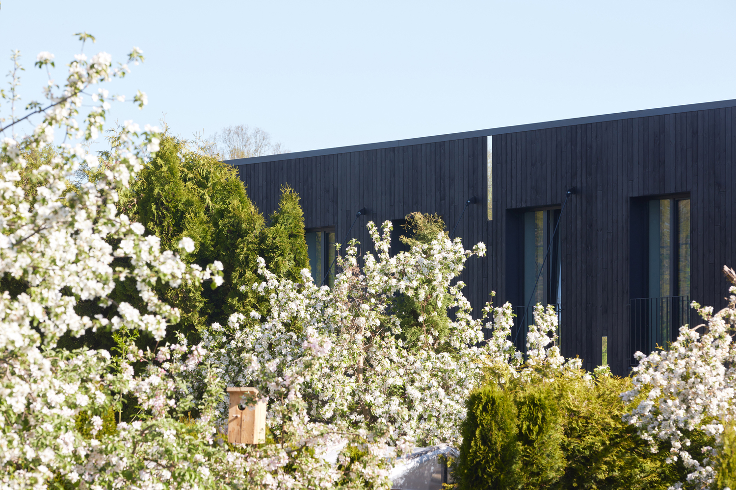 鸟巢之屋丨立陶宛维尔纽斯丨YCL Studio-35