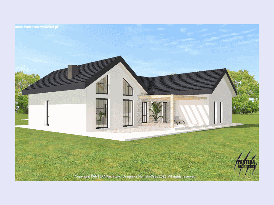 独栋家庭住宅外立面建筑变体设计丨PANTERA Architekci（多米尼卡·谢马克  奥塞斯）-13