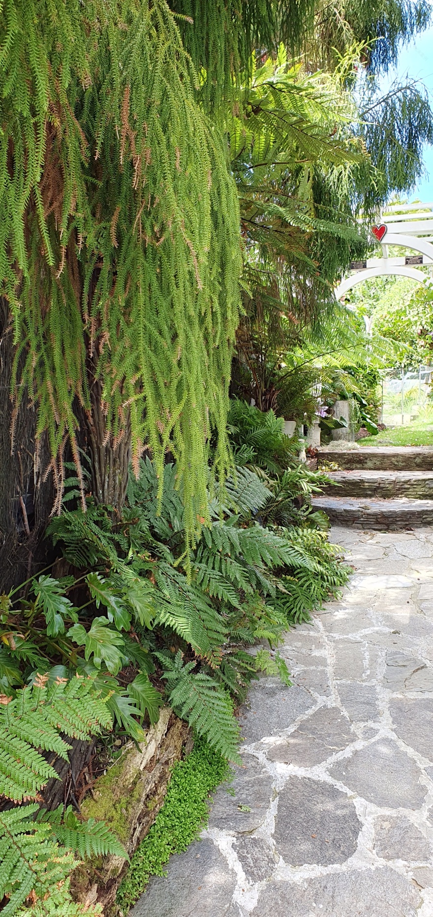 TwoConnect私人花园丨New ZealandAuckland丨Mary和Mark Jones-56