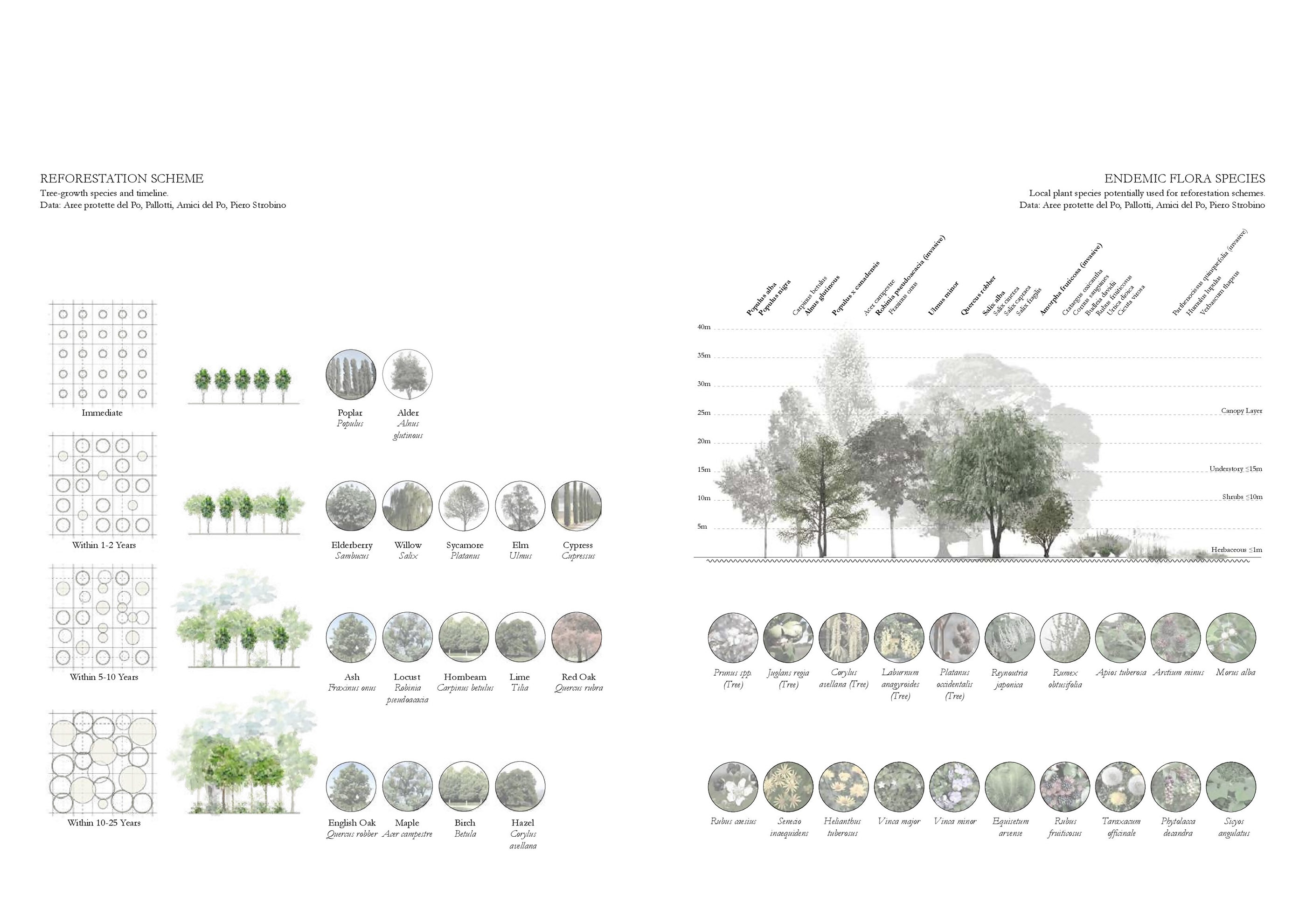 Pre-Thesis Final Studio: Un Po Piu di Boschi-24