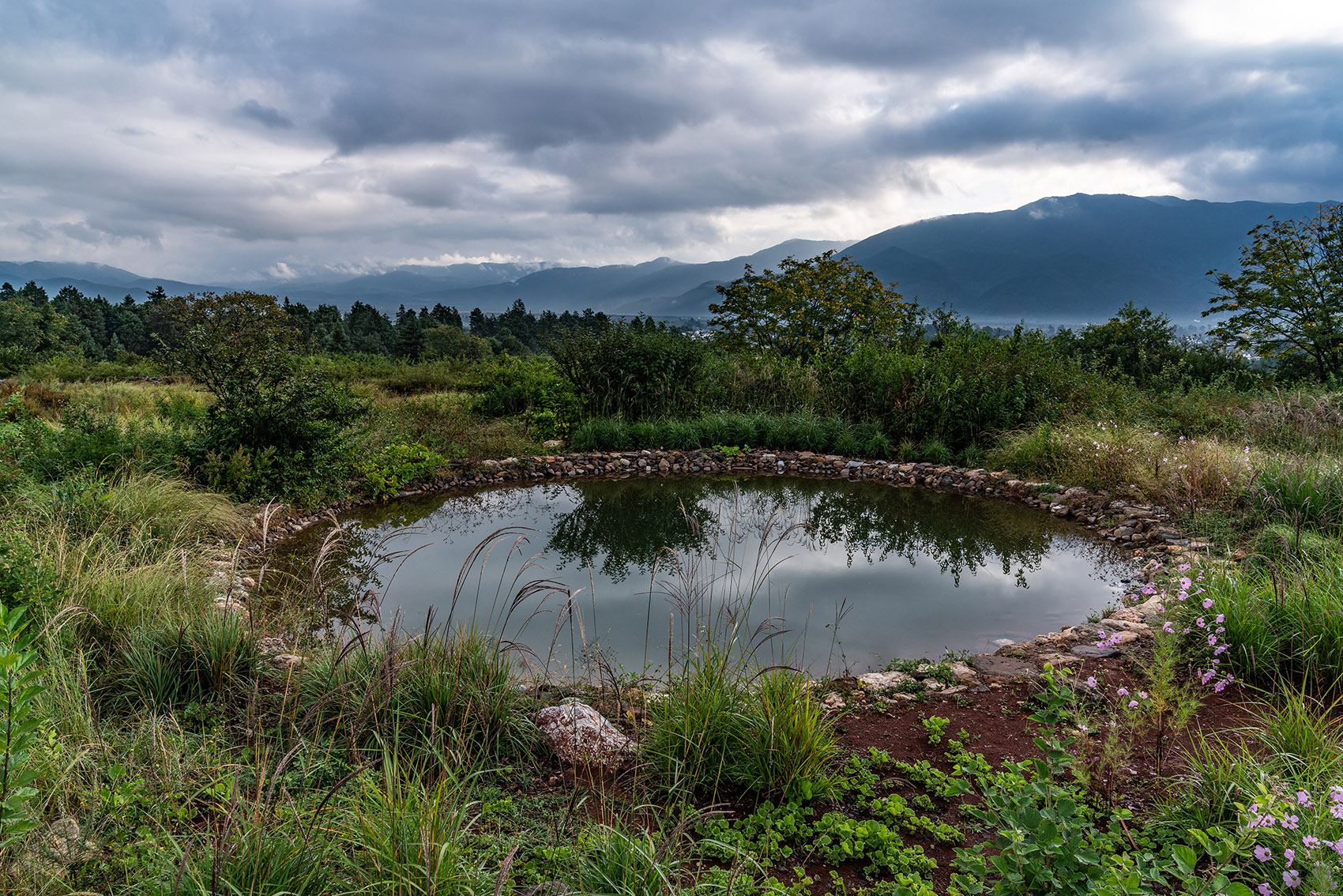 荒野花园和草甸剧场丨中国白沙丨Z’scape致舍景观-46