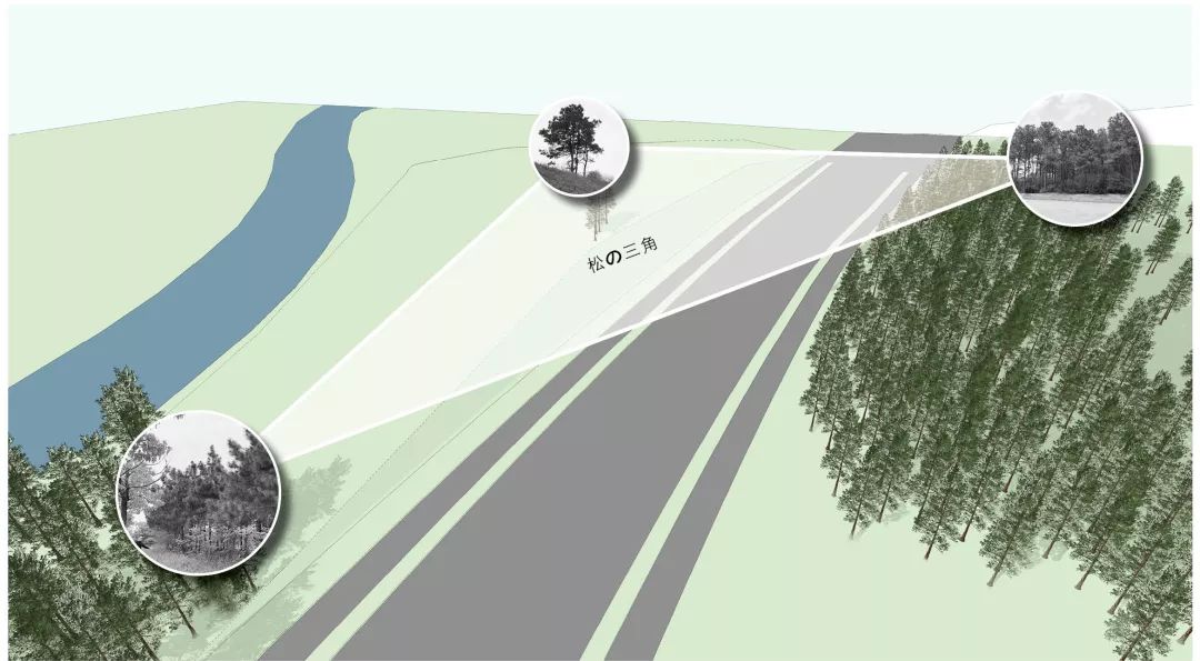 南京弘阳金辉·时光悦府 | 自然与设计的和谐共生-14