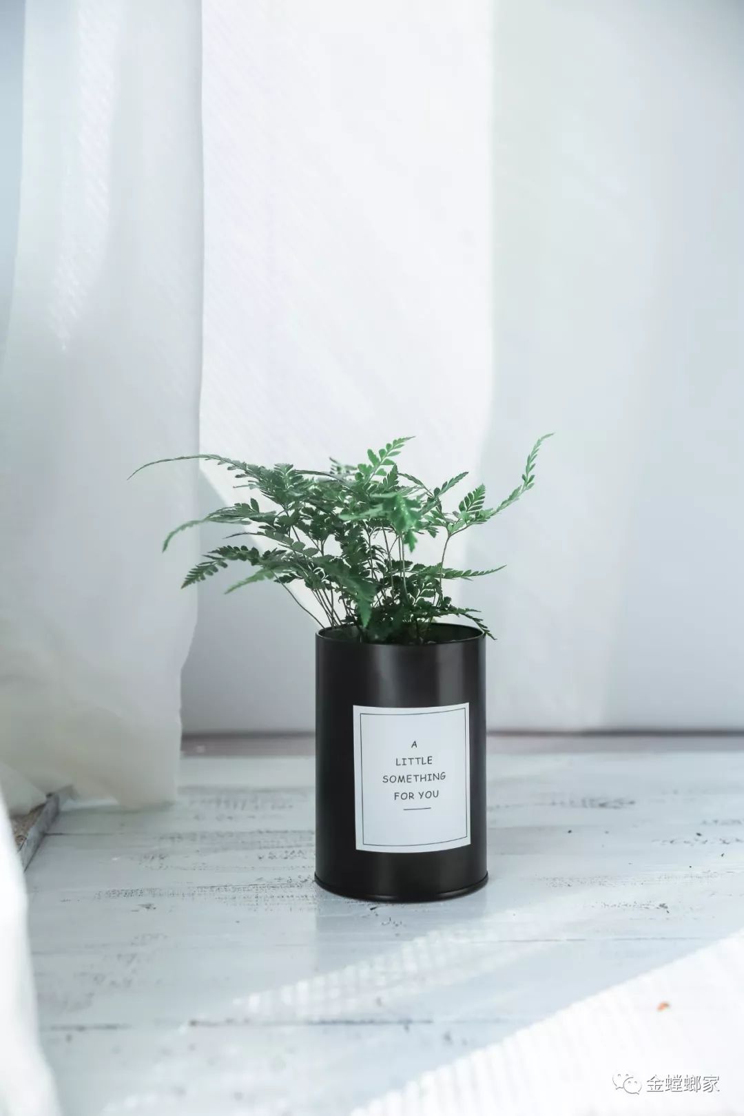 室内绿植搭配，打造春意盎然的家-99