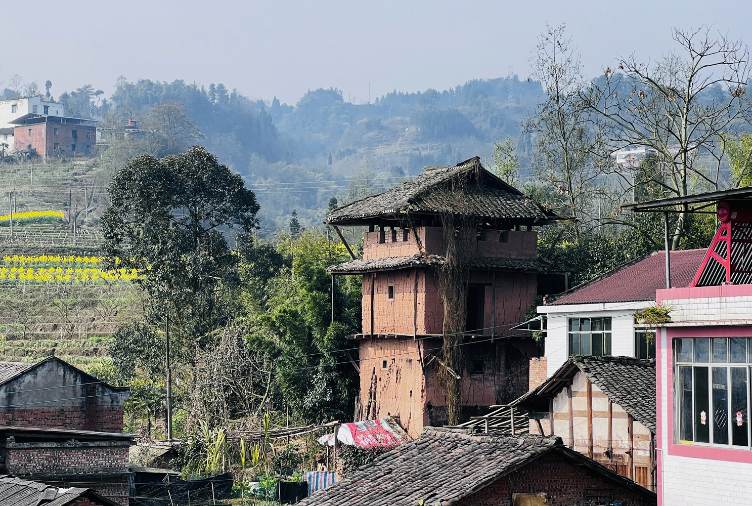 四川棕榈厕所丨中国四川-39