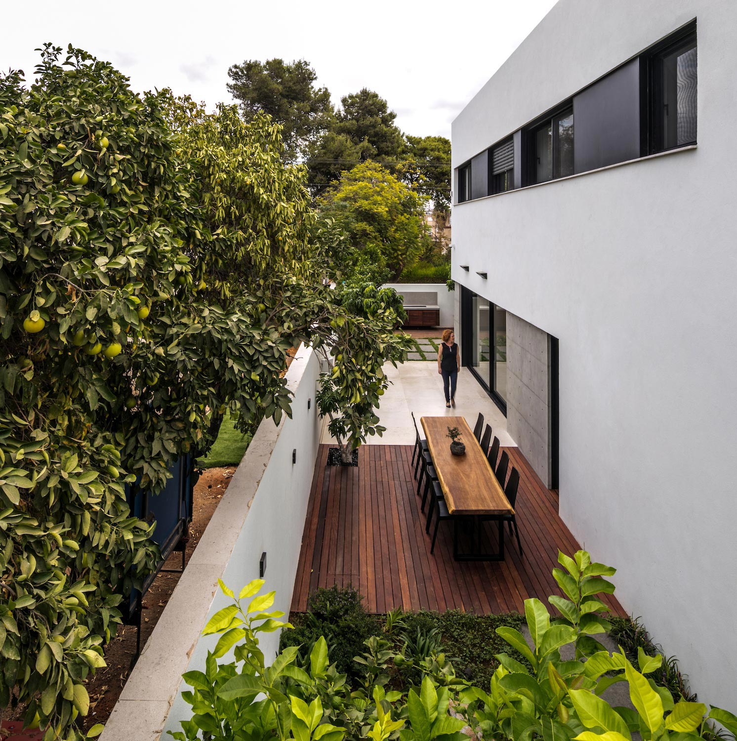 以色列 20 世纪 50 年代单层半独立住宅现代改造-6