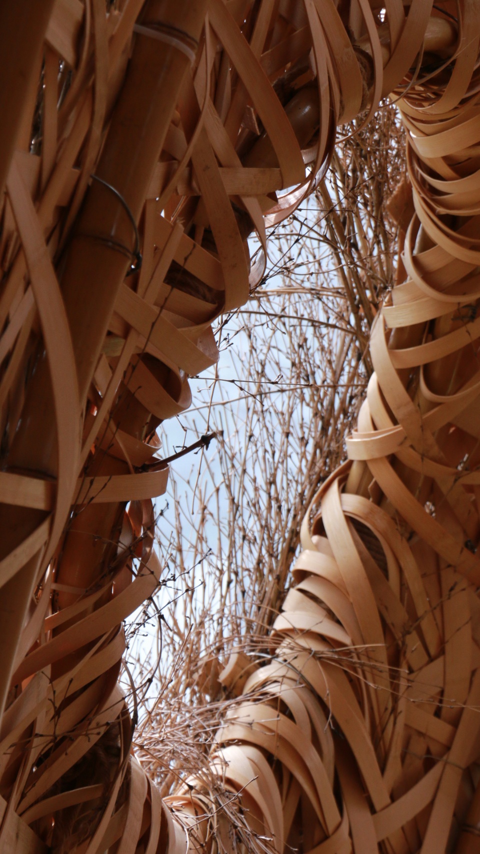 秘境花园 | 树洞中的心灵秘境-56