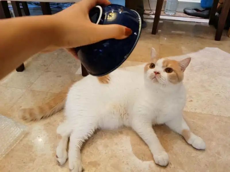 《温柔时刻》买家秀,分享生活中的美好瞬间-75