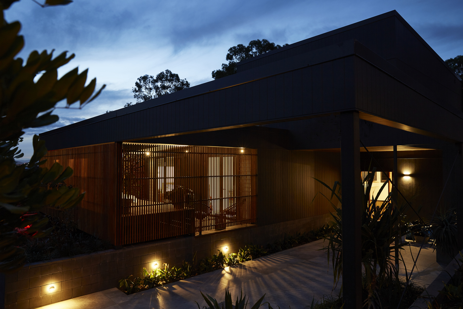 Coorparoo House | 城市与自然的和谐交融-38