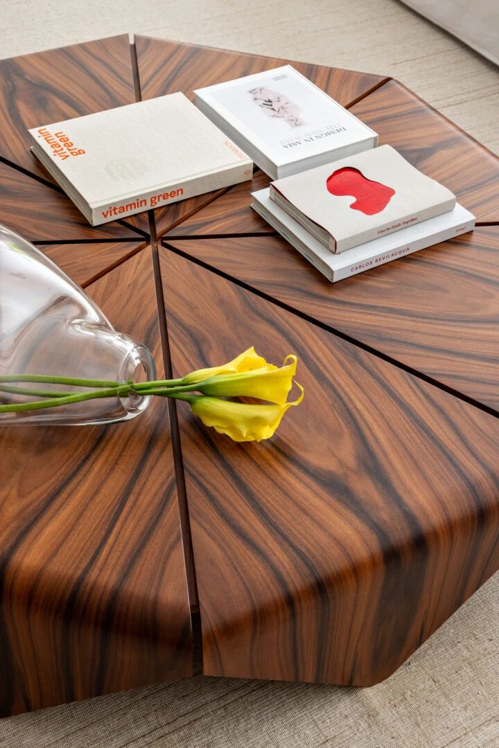 CASA PARIS 巴黎住宅丨巴西丨NJ Arquitetos-75