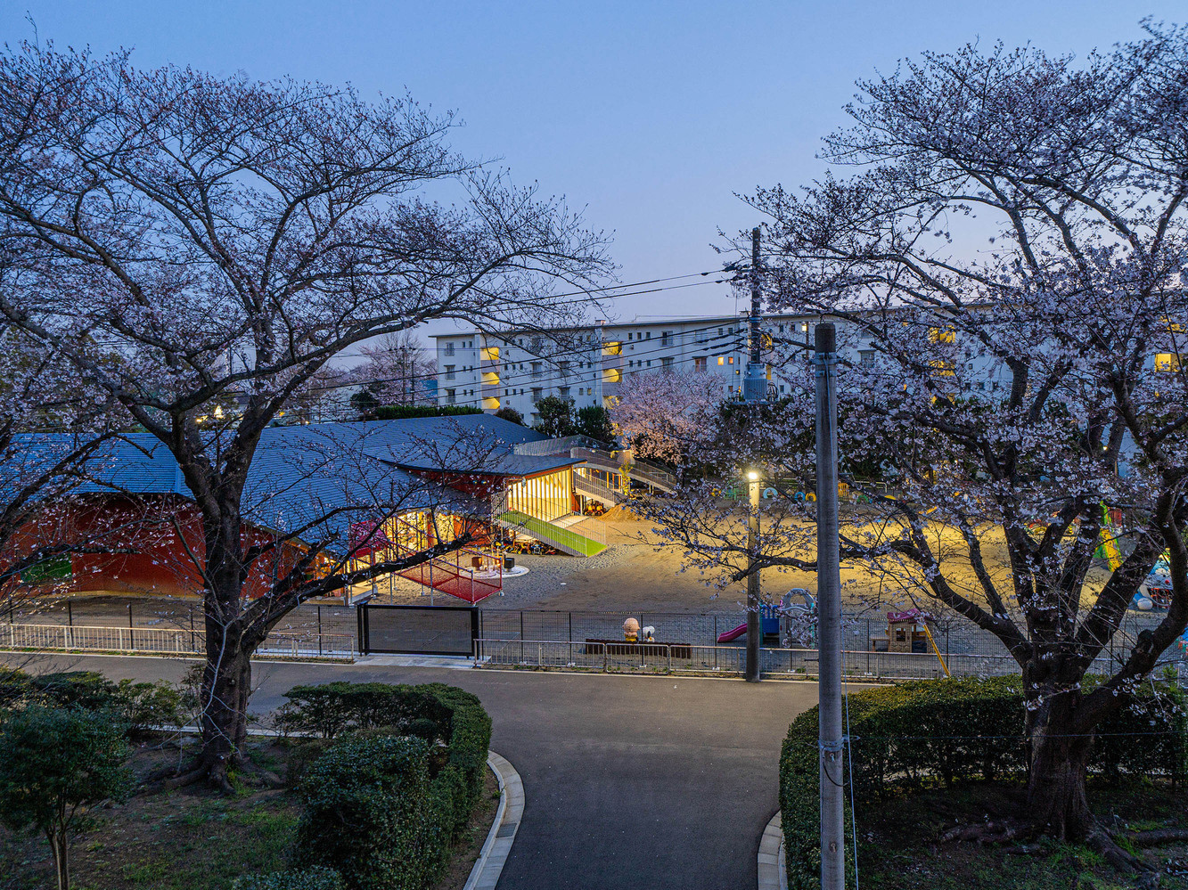 日本 A Hill 幼儿园丨STUDIO YY-3