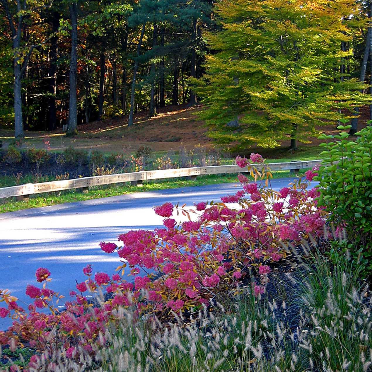 DeCordova 博物馆优雅户外艺术装置设计丨Halvorson Design 事务所-20