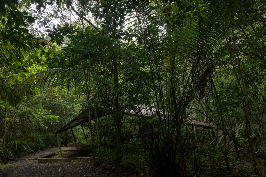 Refuge in the Rainforest - Tour Guide Training Center / Héctor Ayarza + Estudio Garúa-29