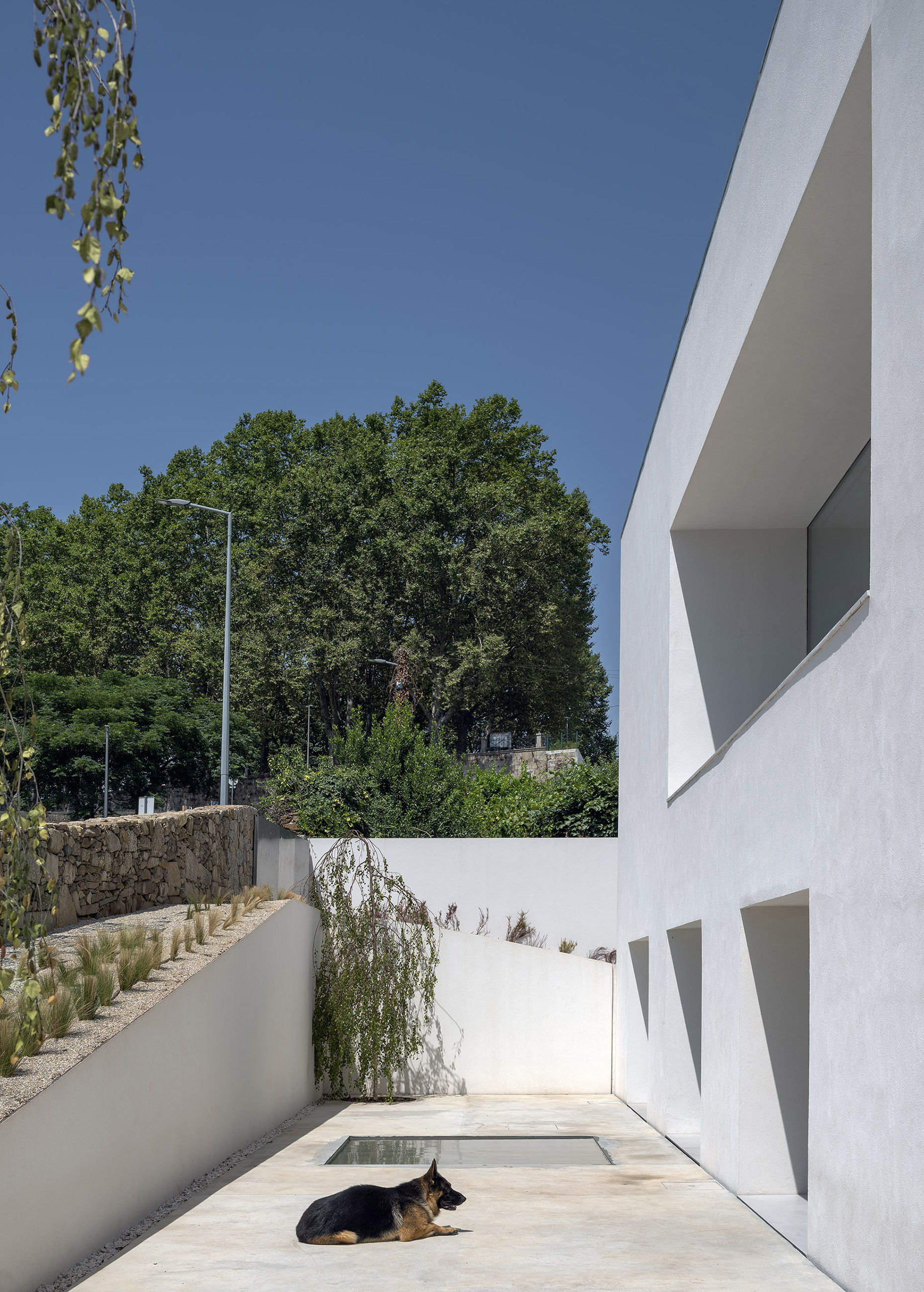 TI 之家丨葡萄牙丨NOARQ-34